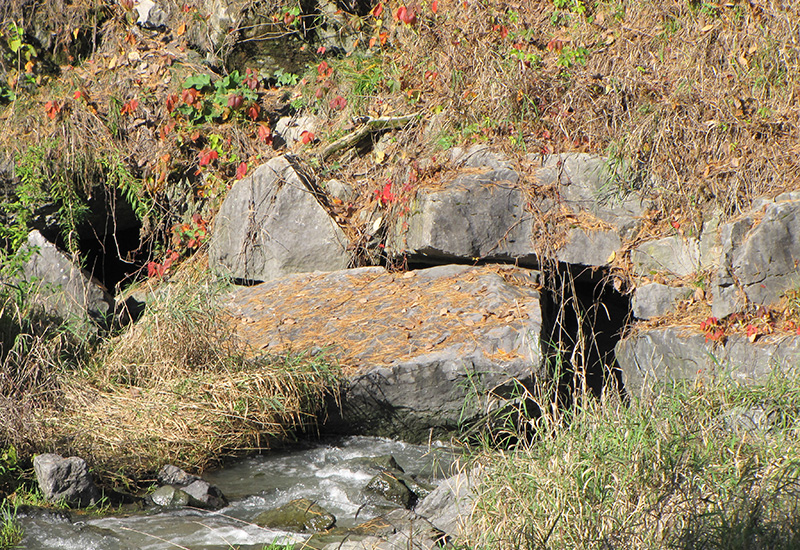 Karst